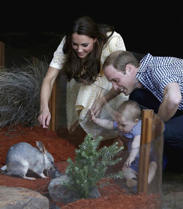 Prince George and bilby