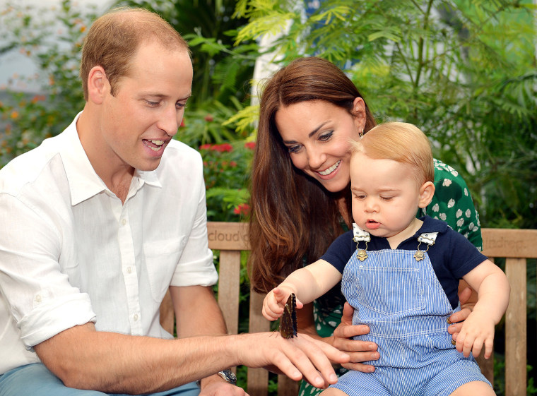 The Duke and Duchess of Cambridge introduce Prince George to the “Sensational Butterflies” exhibition at the Natural History Museum, London.