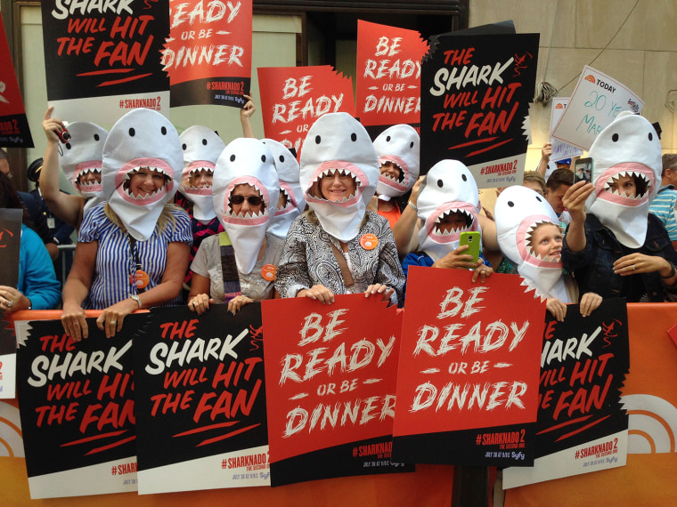 \"Sharknado\" fans on the TODAY plaza