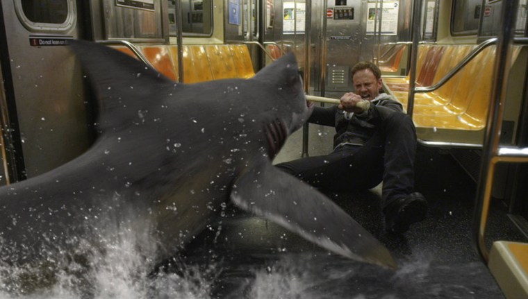 Ian Ziering as Fin Shepard in Sharknado 2.