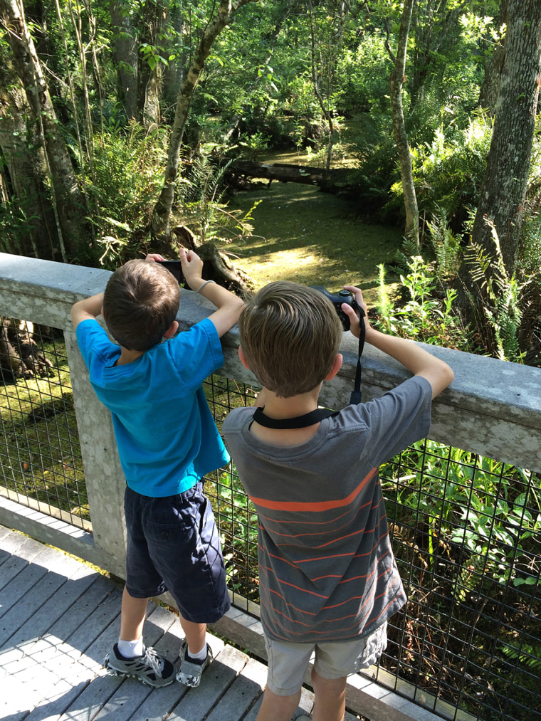 The Gaddis brothers look for animals at the Booker Creek Preserve near Tarpon Springs, Florida.