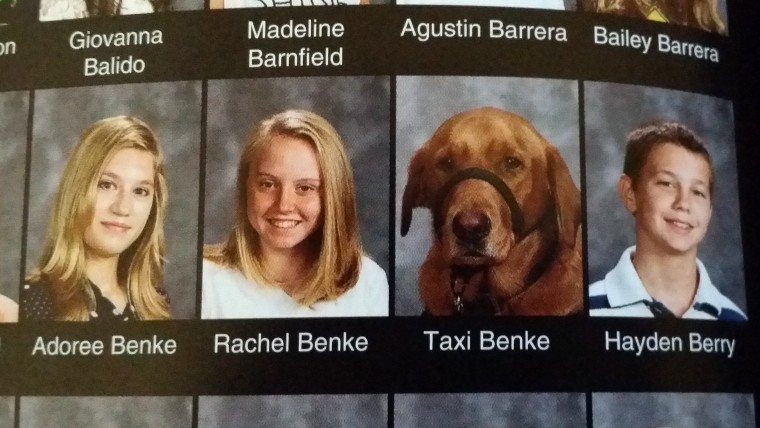 Rachel Benke's guide dog Taxi gets his own photo in the Hector Garcia Middle School yearbook.