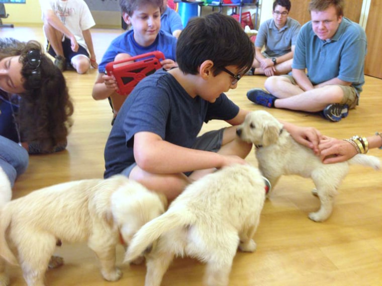 Students snuggle and play with puppies at the Lionheart School in Alpharetta, Georgia. The puppies will go on to become service dogs for war veterans and others with disabilities.