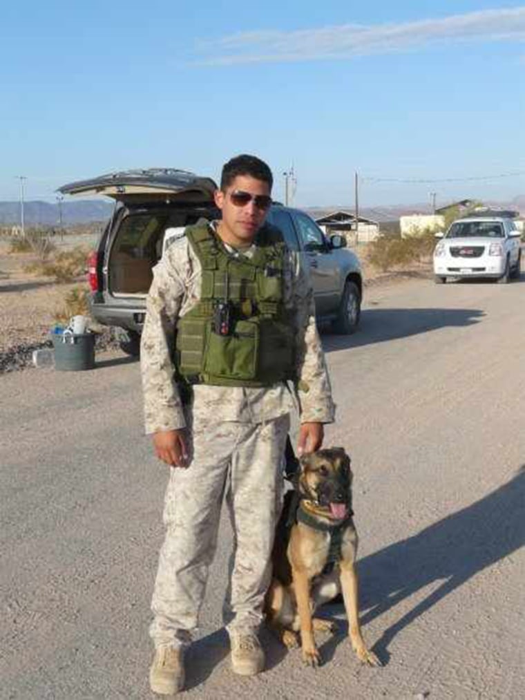 “It’s like he has always known us,” Sandra Diaz says of her fallen son's military dog, Dino.