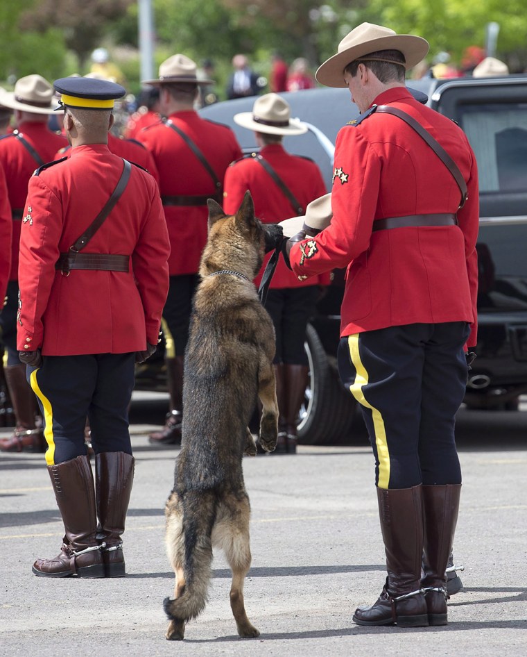 Royal Canadian Mounted Police dog Danny sniffs the Stetson of his partner, slain Constable David Ross, during the funeral procession for the three RCM...