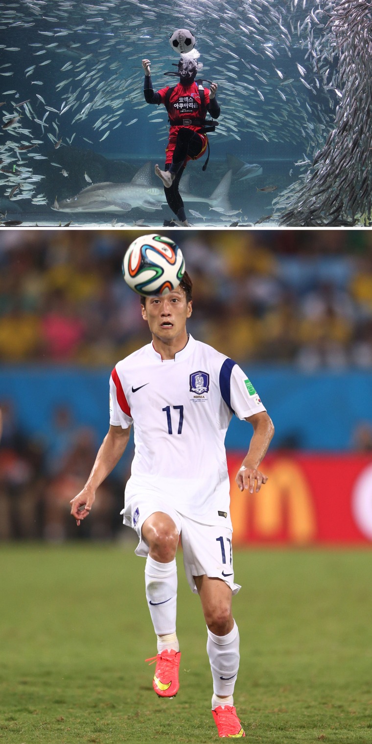 SEOUL, SOUTH KOREA - JUNE 09:  A South Korean diver clads in soccer uniform swims with sardines for South Korean team's success in the 2014 FIFA World Cup Brazil at the Coex Aquarium on June 9, 2014 in Seoul, South Korea. The 2014 FIFA World Cup Brazil begins on June 12, 2014.  (Photo by Chung Sung-Jun/Getty Images)

CUIABA, BRAZIL - JUNE 17: Lee Chung-Yong of South Korea controls the ball during the 2014 FIFA World Cup Brazil Group H match between Russia and South Korea at Arena Pantanal on June 17, 2014 in Cuiaba, Brazil.  (Photo by Warren Little/Getty Images)