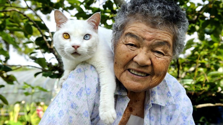 Miyoko Ihara started a project documenting her grandmother's relationship with a stray cat 13 years ago.