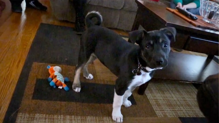 Three-month-old Hunter plays at the McLarty home.
