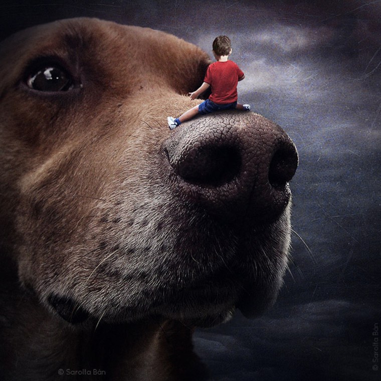 A child takes a ride on a huge, cuddly dog in this image that plays with scale.