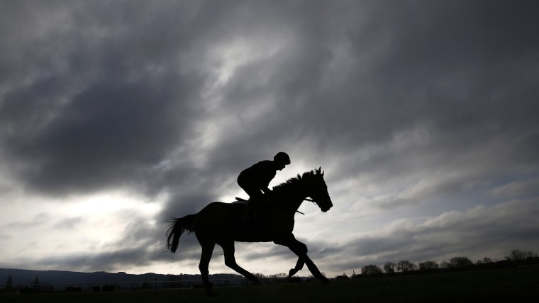 Image: silhouette of a horse jumping