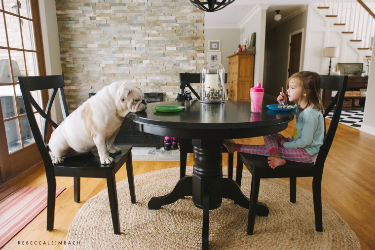 Harper and Lola share some breakfast. Well, Lola sleep while Harper eats.