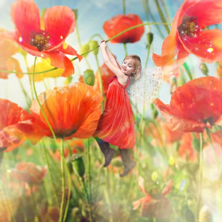 In this image, Van Deale turned one little girl into the fairy princess of poppies.