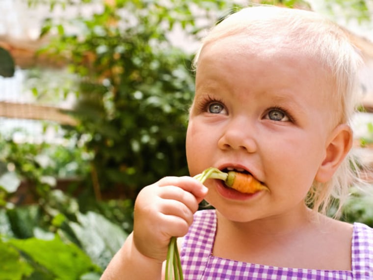 Nutritional Guidelines for Toddlers