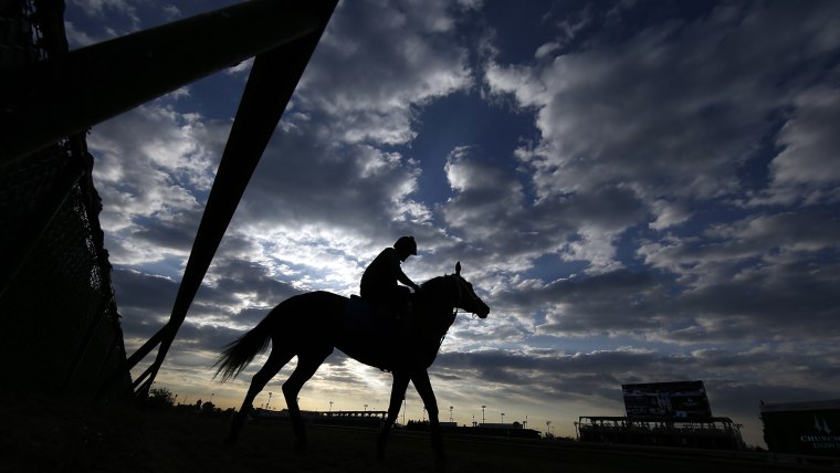 Image: Silhouette of a horse and rider at the Kentucky Derby
