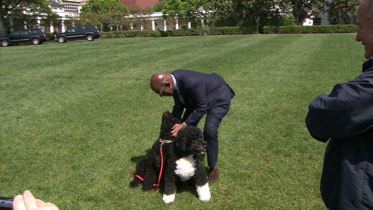 A bonus to spending the day at the White House: Time with the first dogs, Sunny and Bo!