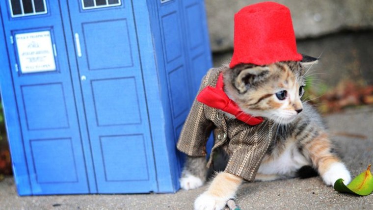 Wendy McKee dressed a kitten in a costume inspired by \"Doctor Who,\" one of her favorite shows.
