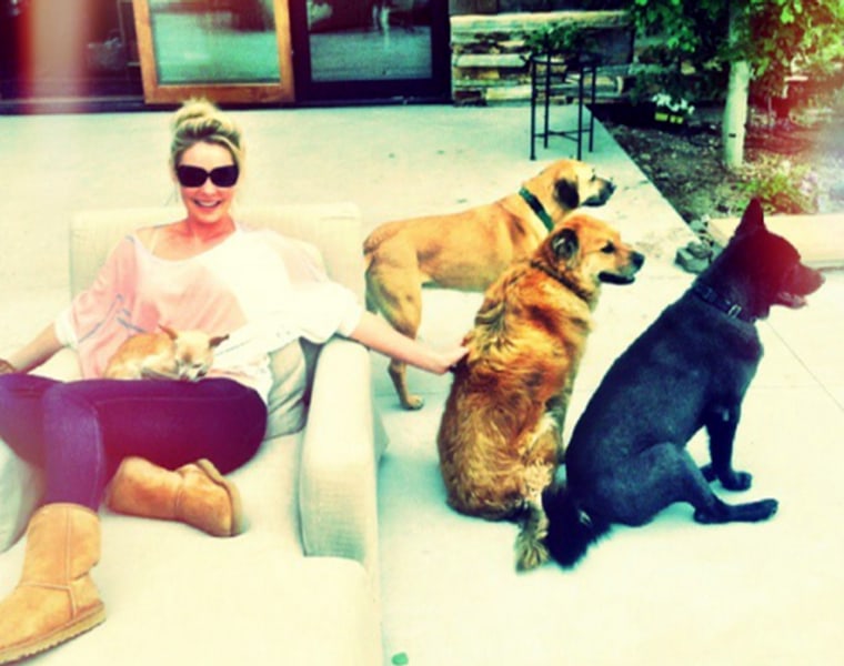 Image: Katherine Heigl and pets