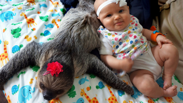 Baby and sloth