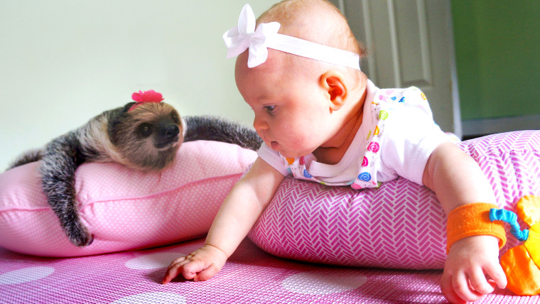 Baby and sloth