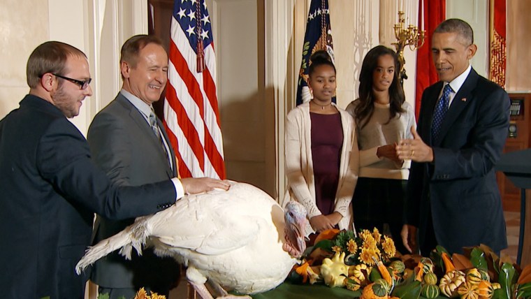 Cheese, a 20-week Ohio bird, becomes the official 2014 turkey pardoned by the White House.