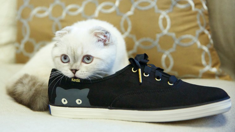 IMAGE: Taylor Swift's cat Olivia in a Keds ad