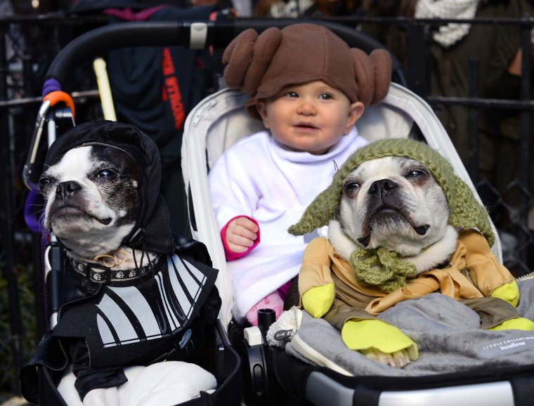 Dogs and baby dressed as characters from \"Star Wars\" attend the 23rd Annual Tompkins Square Halloween Dog Parade on October 26, 2013 in New York City....