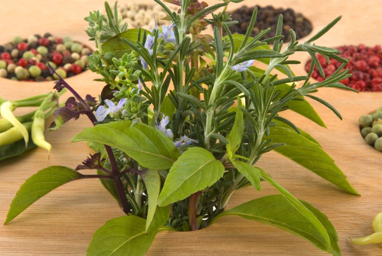 Fall food trend alert 5 plants you didn't know you could cook with