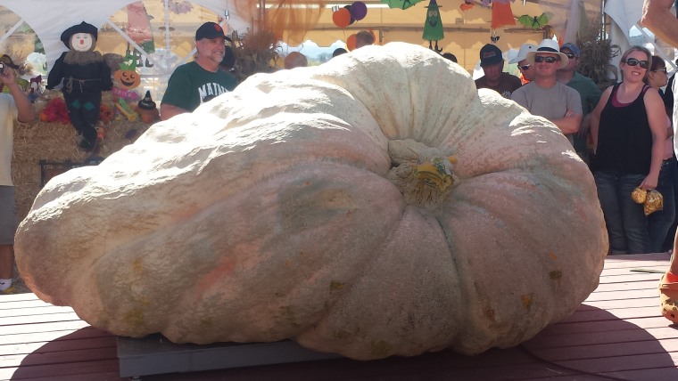 Peter and Cindi Glasier's 2036-pound pumpkin.