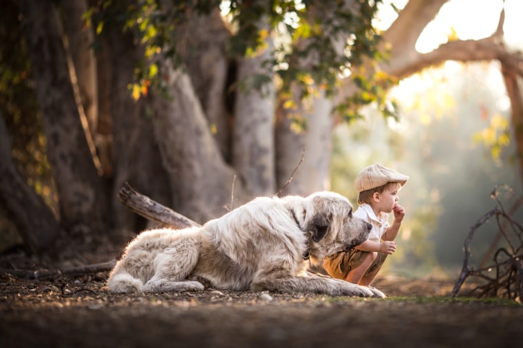 Lucky the Dog with Emerson