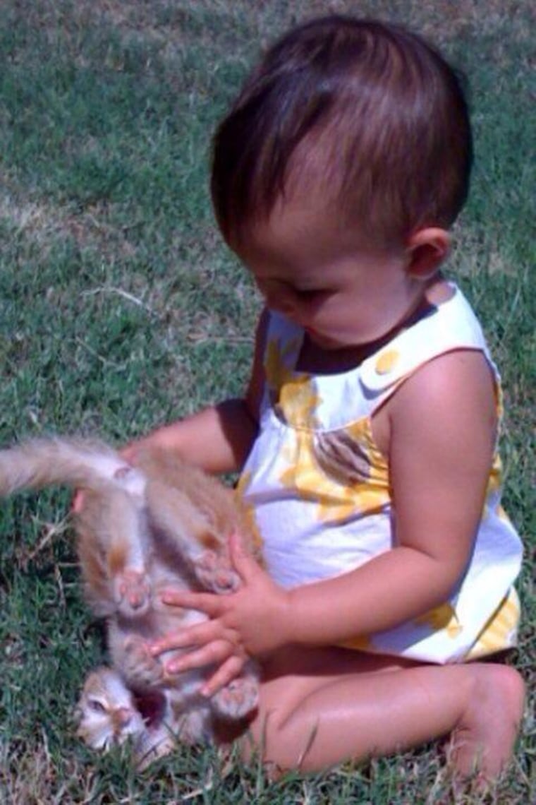 The cat's face says it all... This is my niece \"gently\" playing with a kitten!