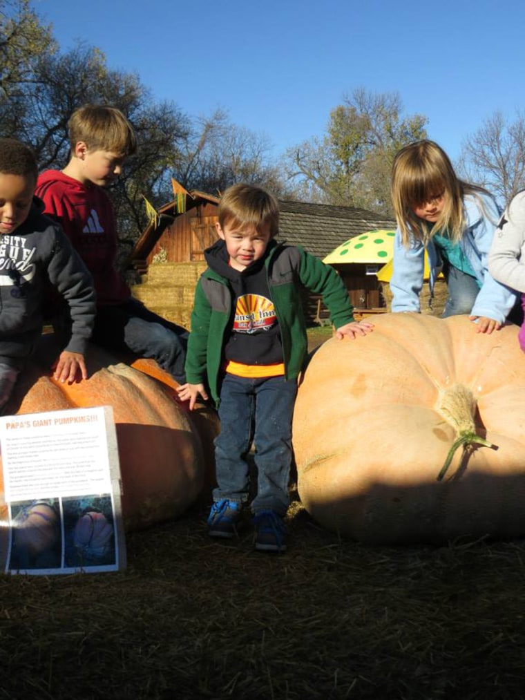 Preschool students from In-Side-Out Early Learning school pose with the pumpkins they grew.