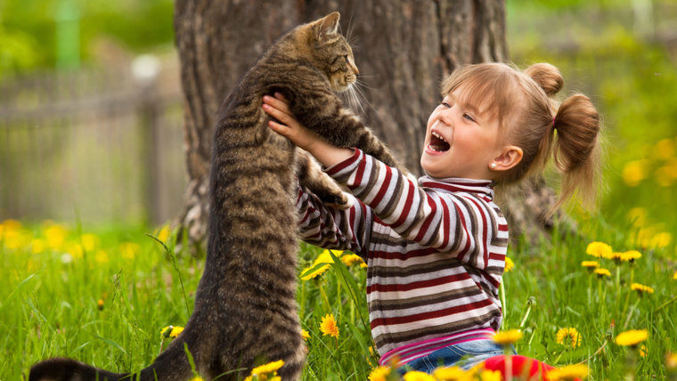 Kid playing with a cat; Shutterstock ID 111593129; PO: today.com