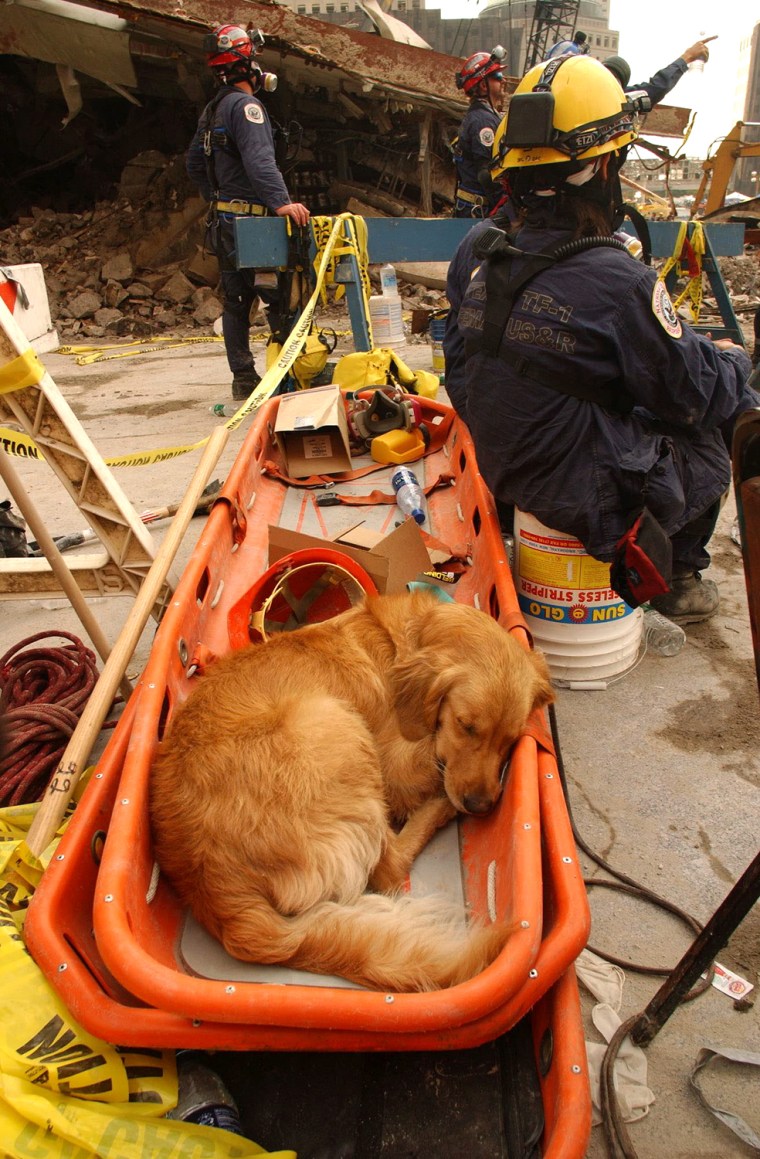An exhausted Bretagne takes a break at Ground Zero in September 2001.