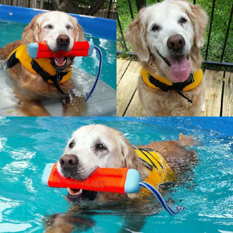 Bretagne swimming in a pool in her backyard in Texas.