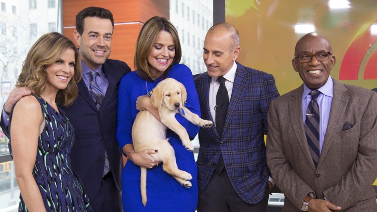 TODAY Show: The TODAY anchors meet their new \"puppy with a purpose\" on January 14, 2015.