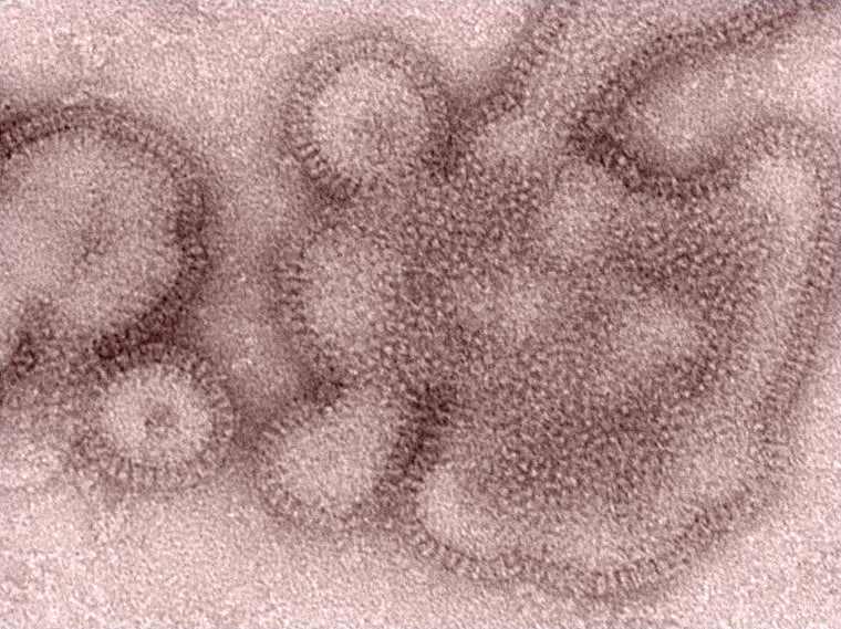 H3N2 flu virus