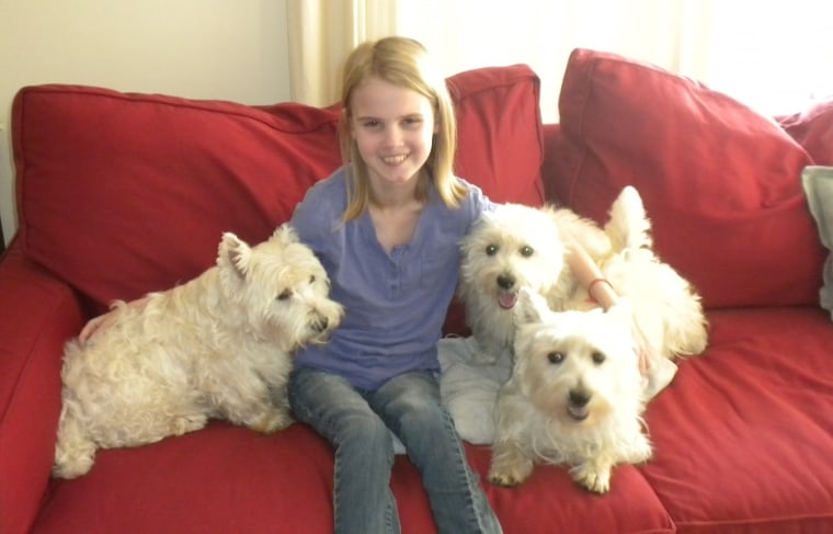 Grace Forgea and her three Westies, Chester, Lucy and MacIntosh,