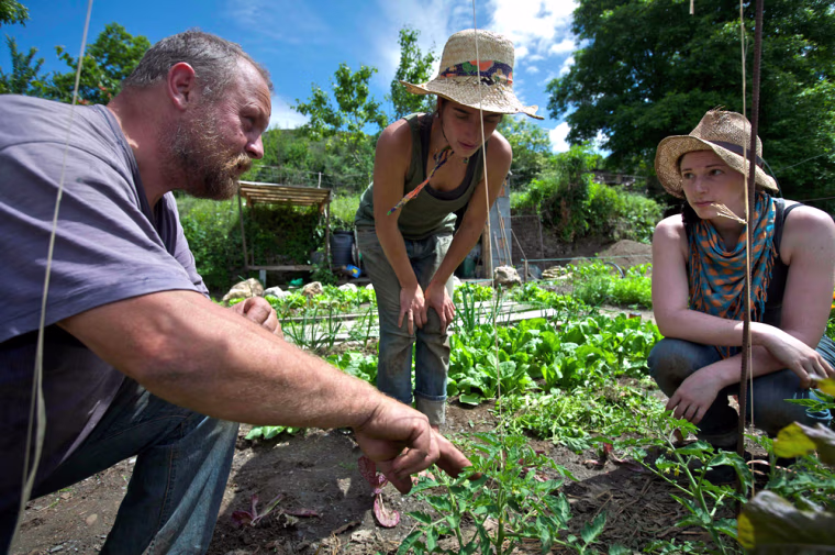 Image: Americans talk to a farmer in Spain