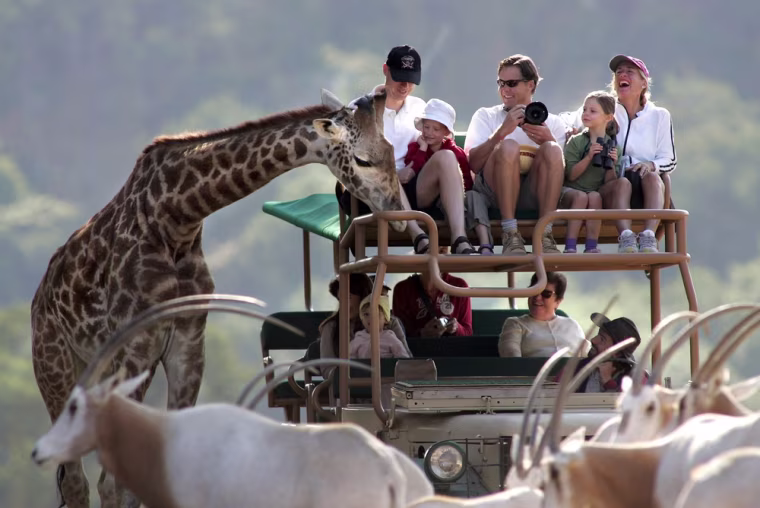 Image: Safari West