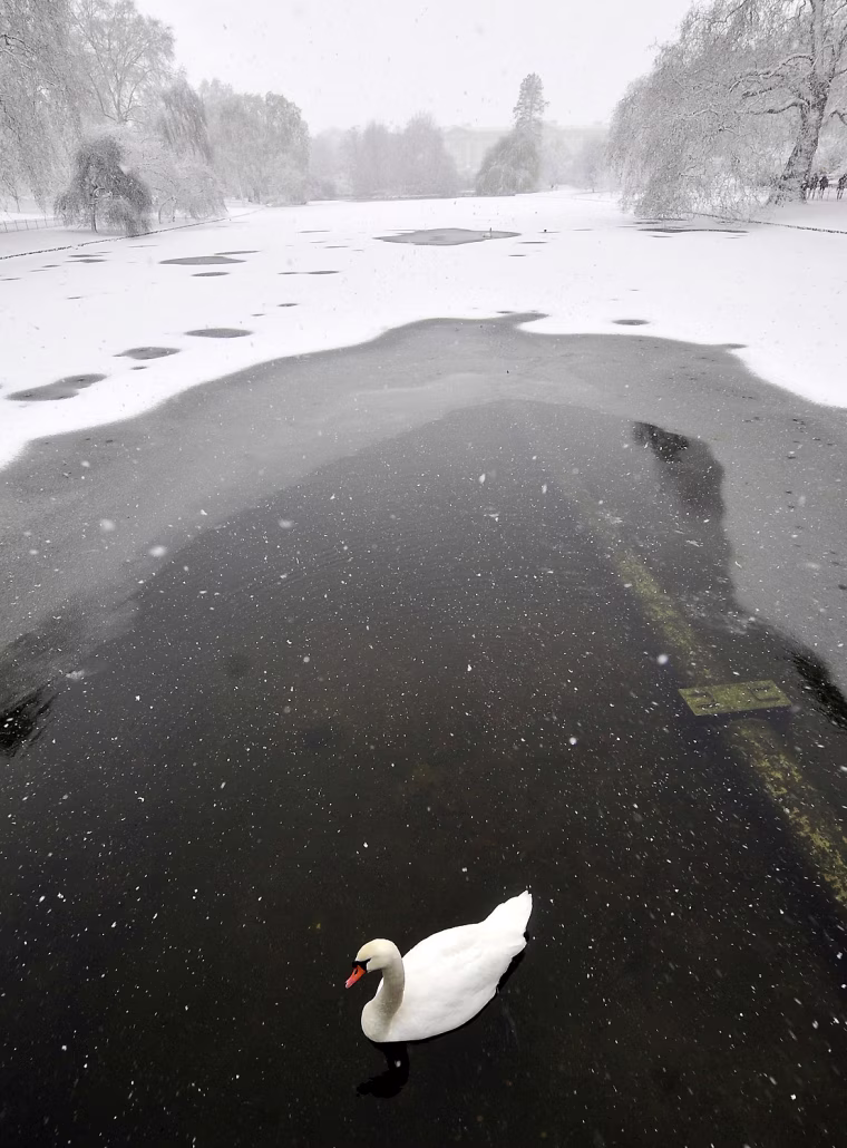 Image: Snowy Causes Travel Chaos Across Britain