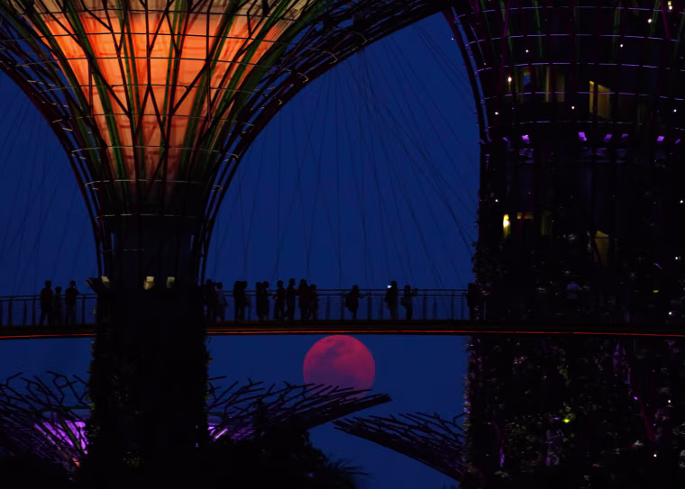 Image: Tourists walk on the elevated skywalk of the Supertrees Grove at the Gardens by the Bay in Singapore, as the \"super moon\" rises at dusk