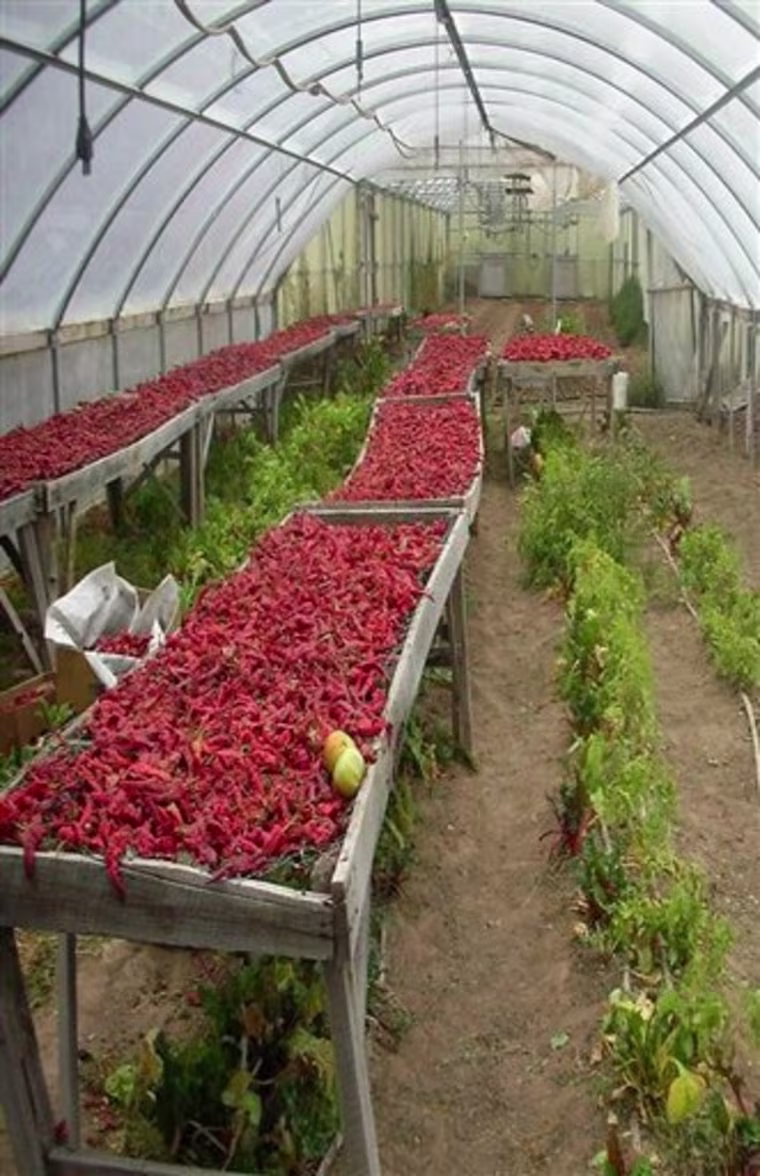 Vegan Farming
