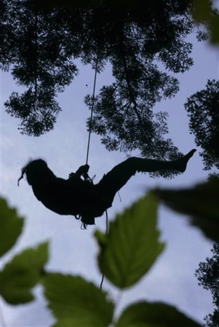 Tree Sitters Triumph