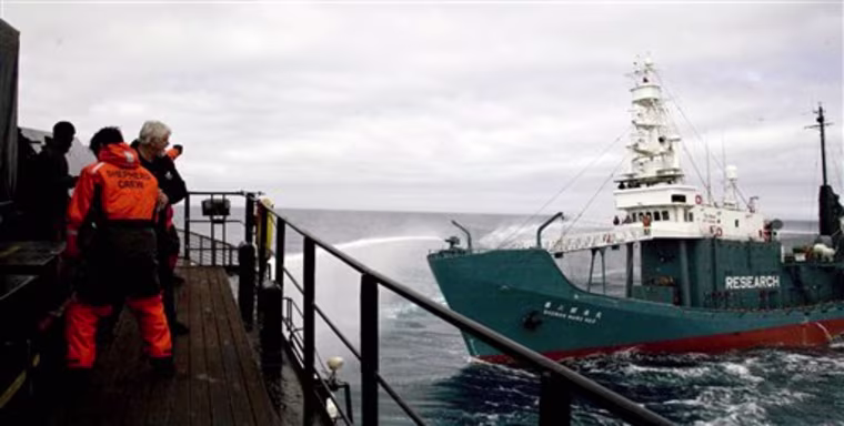Antarctic Japan Whaling