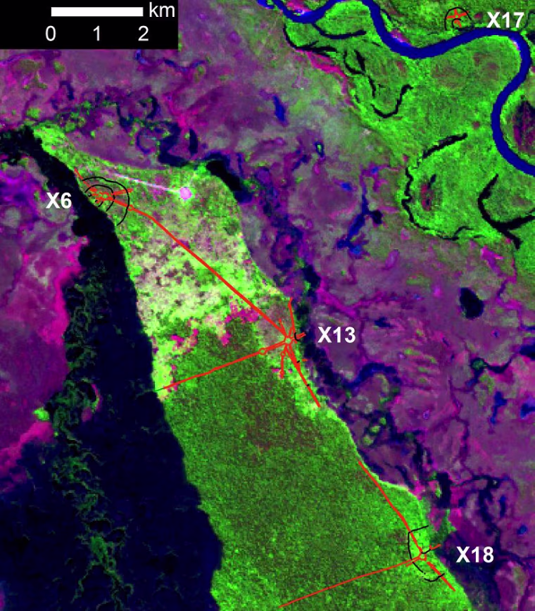 Satellite imaging reveals the outlines of Northern (Ipaste) cluster sites in the Amazon. Red lines indicate earthworks that were apparently erected as berms for roads and plazas, and black lines indicate defensive ditches.
