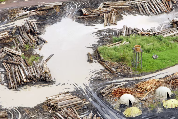 Image: An aerial view of a sawmill that processes logs from the Amazon rainforest in Tailandia, Brazil