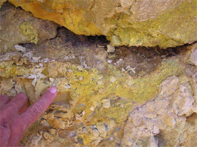 One of the jarosite samples taken from the Coromandel Peninsula in New Zealand. Credit: Michelle Kotler