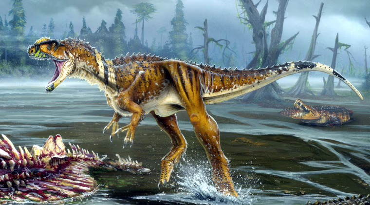 RUGOPS