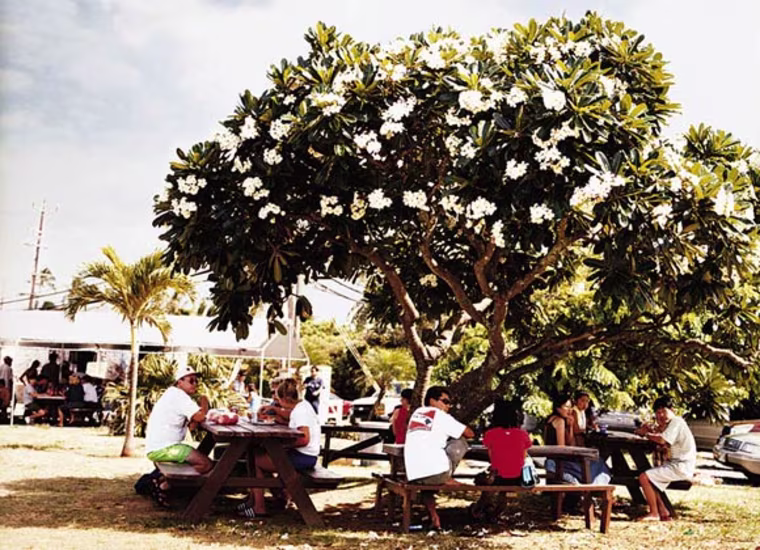 Image: Lunch alfresco