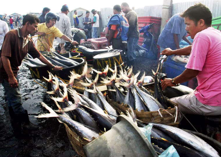 MEN LOAD FISH